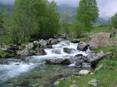 UOMO E FIUME L’Ecologia fluviale per fondare la convivenza